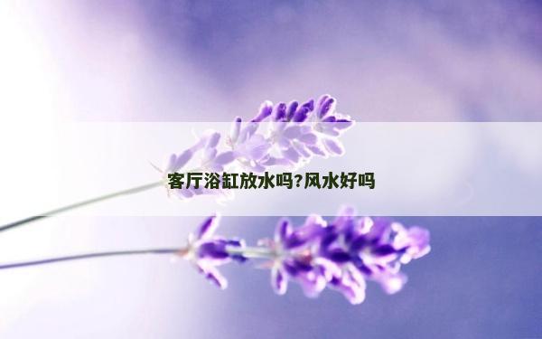客廳浴缸放水嗎?風水好嗎