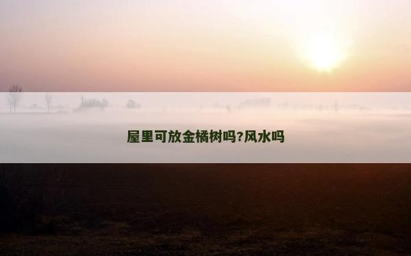 屋里可放金橘樹嗎?風(fēng)水嗎