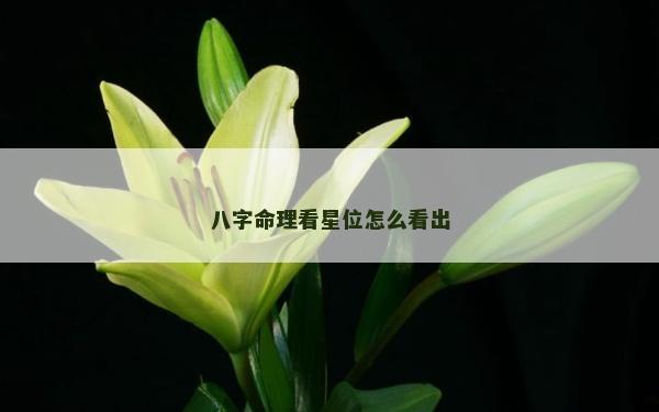 八字命理看星位怎么看出