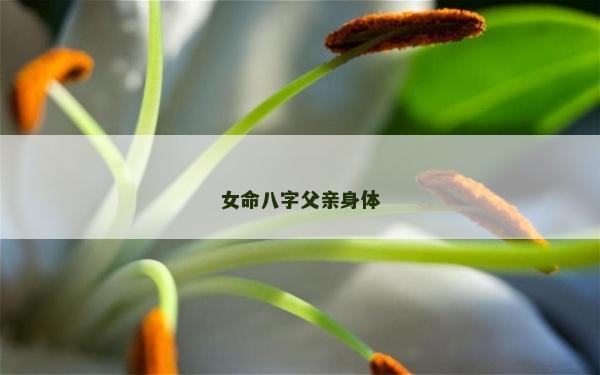 女命八字父親身體