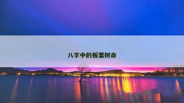 八字中的板栗樹命