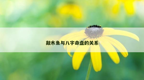 敲木魚與八字命盤的關(guān)系