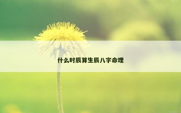 什么時辰算生辰八字命理 什么時辰算生辰八字命理