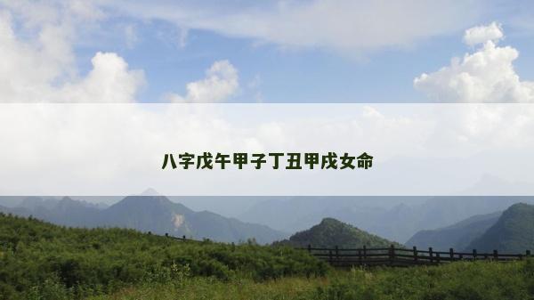 八字戊午甲子丁丑甲戌女命