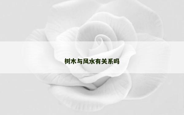 樹木與風水有關系嗎