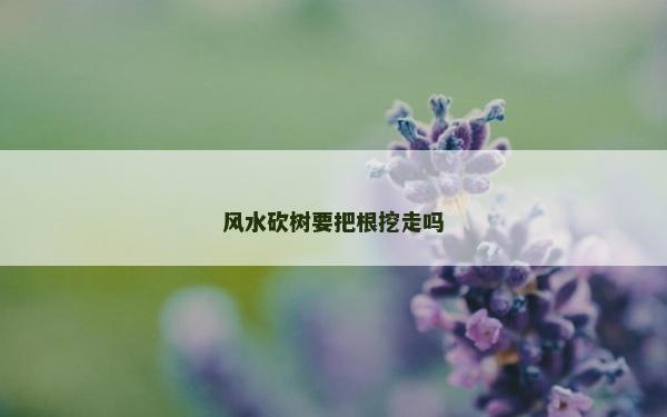 風水砍樹要把根挖走嗎