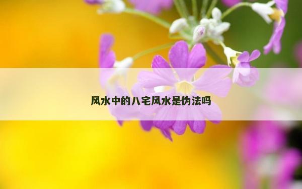 風水中的八宅風水是偽法嗎