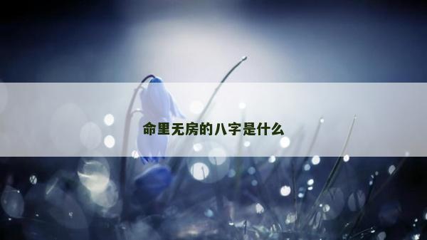 命里無房的八字是什么