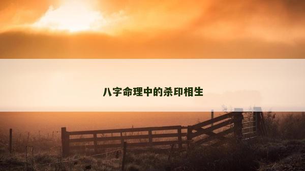 八字命理中的殺印相生