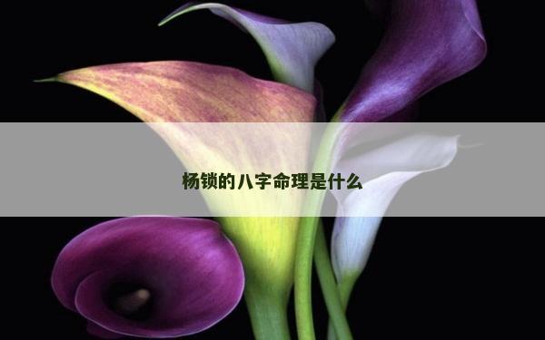 楊鎖的八字命理是什么