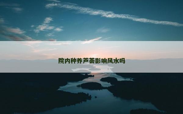 院內種養蘆薈影響風水嗎