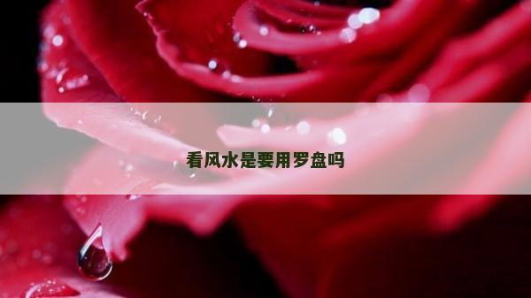 看風水是要用羅盤嗎 看風水是要用羅盤嗎
