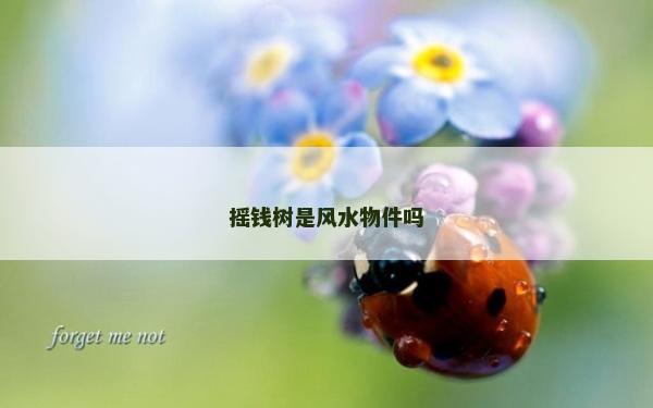 搖錢樹是風水物件嗎
