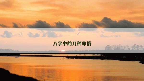 八字中的幾種命格