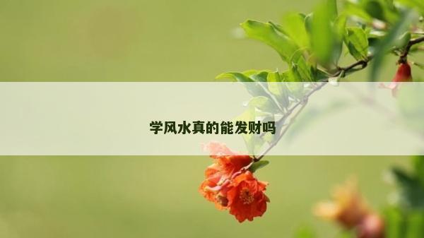 學(xué)風(fēng)水真的能發(fā)財(cái)嗎
