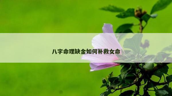 八字命理缺金如何補救女命