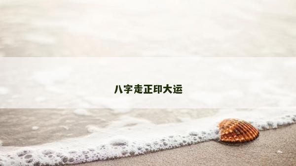 八字走正印大運