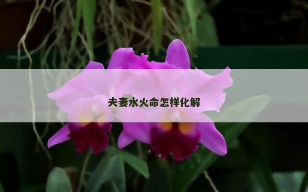 夫妻水火命怎樣化解