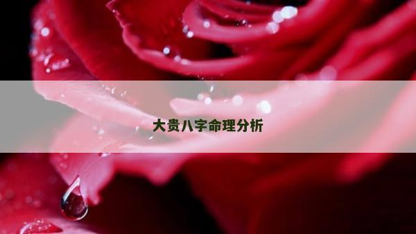 大貴八字命理分析