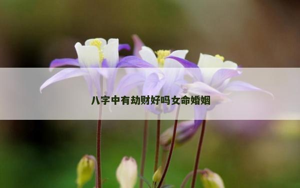 八字中有劫財好嗎女命婚姻 八字中有劫財好嗎女命婚姻