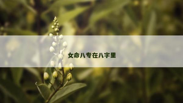 女命八專在八字里 女命八專在八字里
