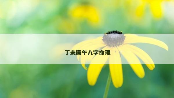 丁未庚午八字命理