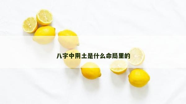 八字中陰土是什么命局里的