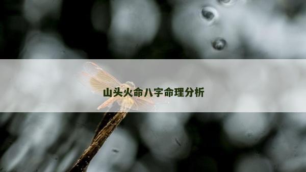 山頭火命八字命理分析