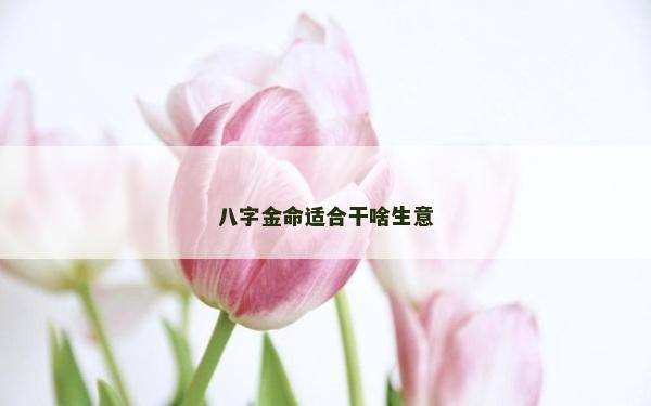 八字金命適合干啥生意