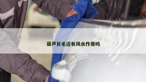 葫蘆長毛還有風水作用嗎