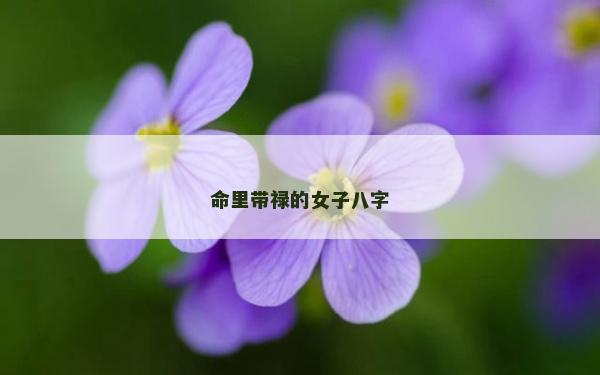命里帶祿的女子八字