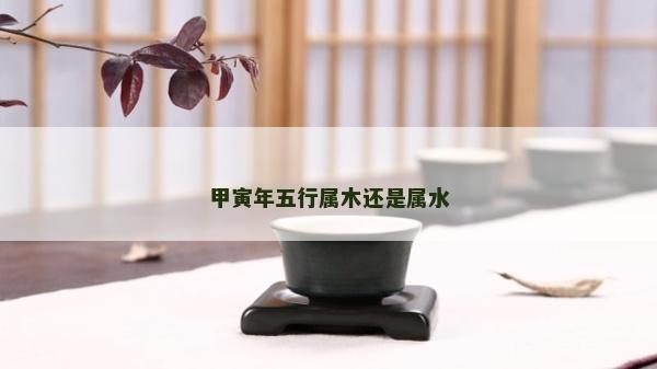 甲寅年五行屬木還是屬水