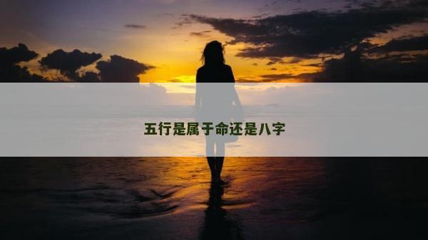 五行是屬于命還是八字