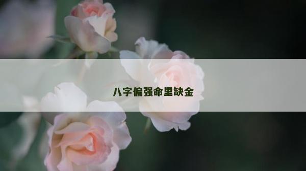 八字偏強命里缺金