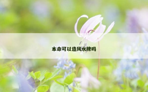 本命可以造風水牌嗎