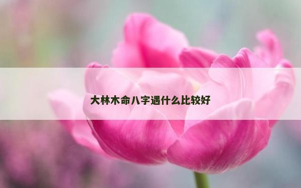大林木命八字遇什么比較好
