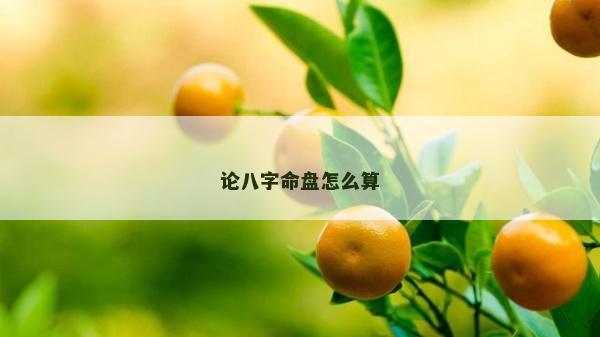 論八字命盤怎么算