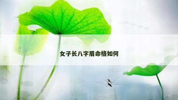 女子長八字眉命格如何