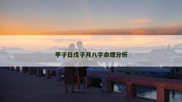 甲子日戊子月八字命理分析 甲子日戊子月八字命理分析