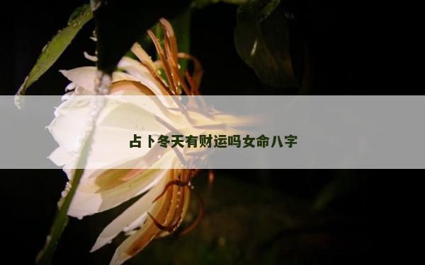 占卜冬天有財運嗎女命八字