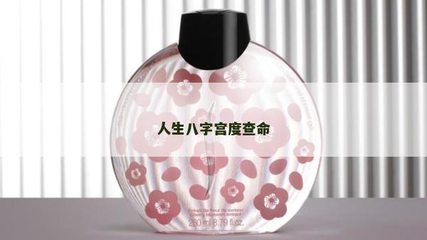 人生八字宮度查命