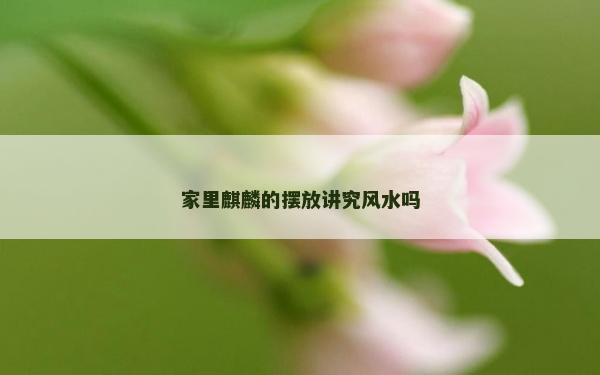 家里麒麟的擺放講究風水嗎