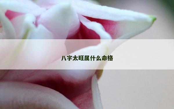 八字太旺屬什么命格
