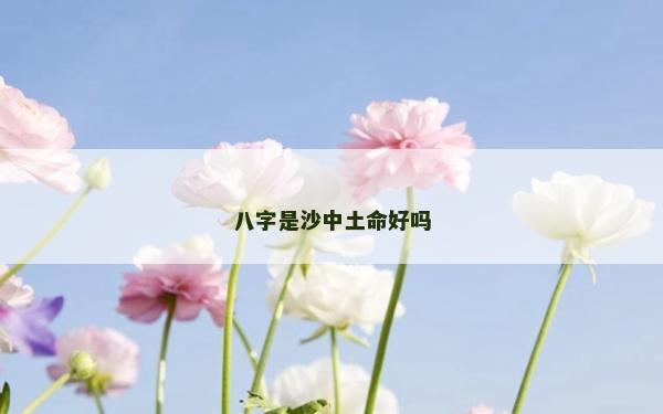 八字是沙中土命好嗎