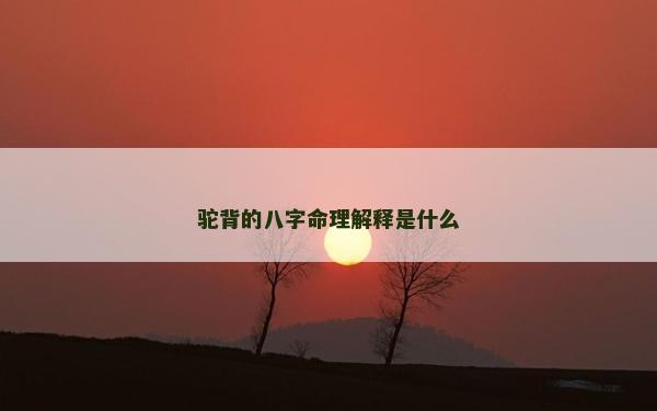 駝背的八字命理解釋是什么