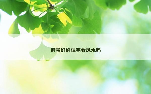 前景好的住宅看風水嗎