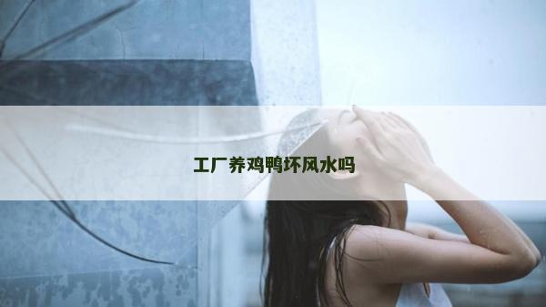 工廠養雞鴨壞風水嗎