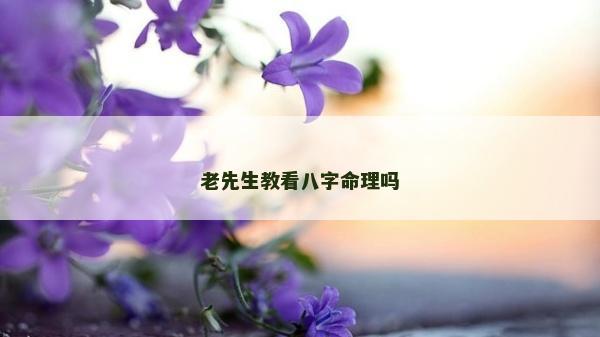 老先生教看八字命理嗎