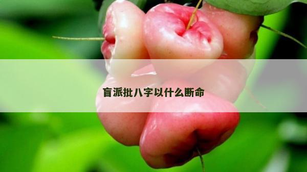 盲派批八字以什么斷命