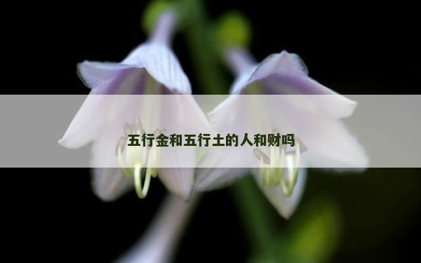 五行金和五行土的人和財嗎
